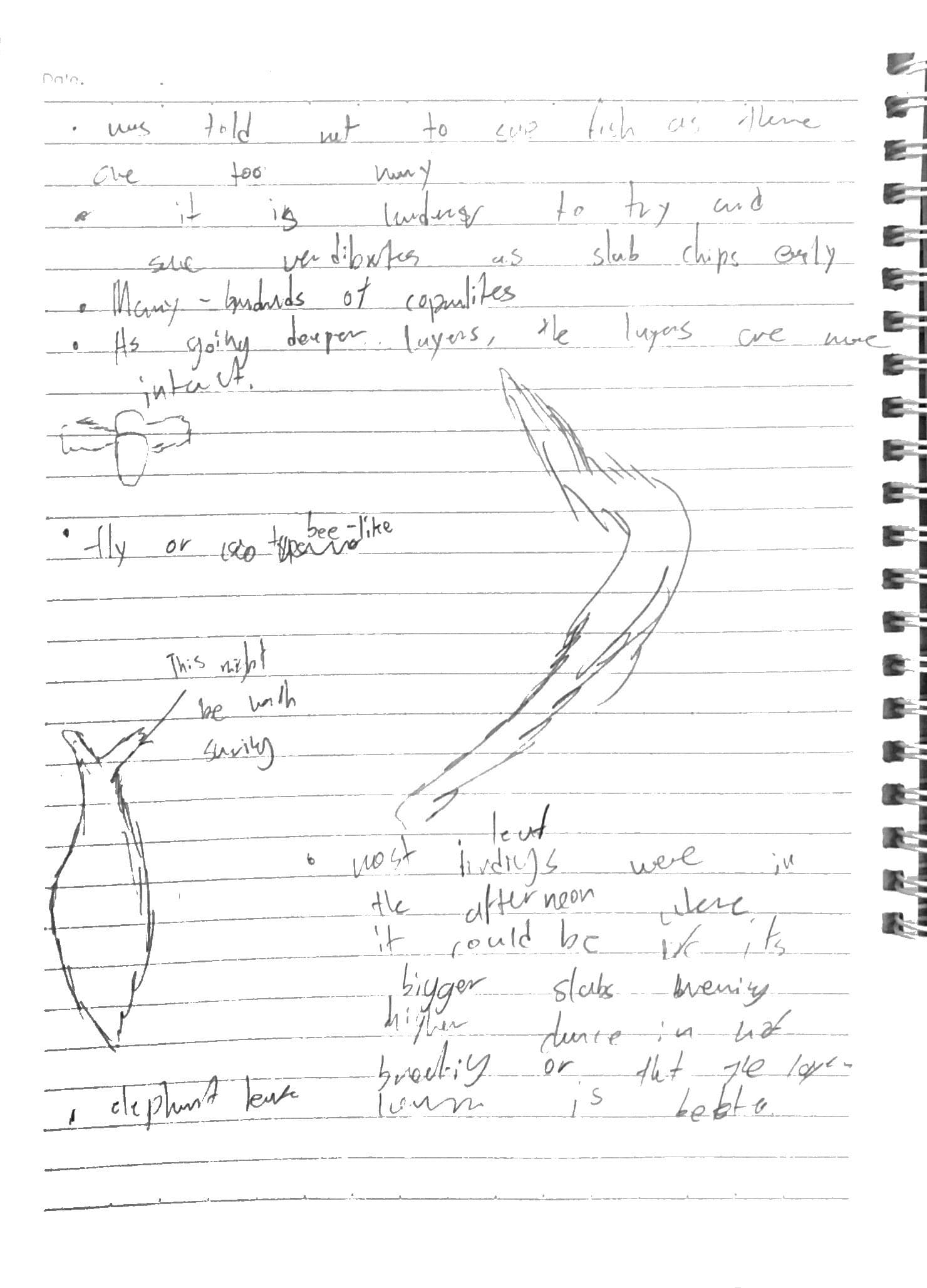 Day 1 field notes, page 2