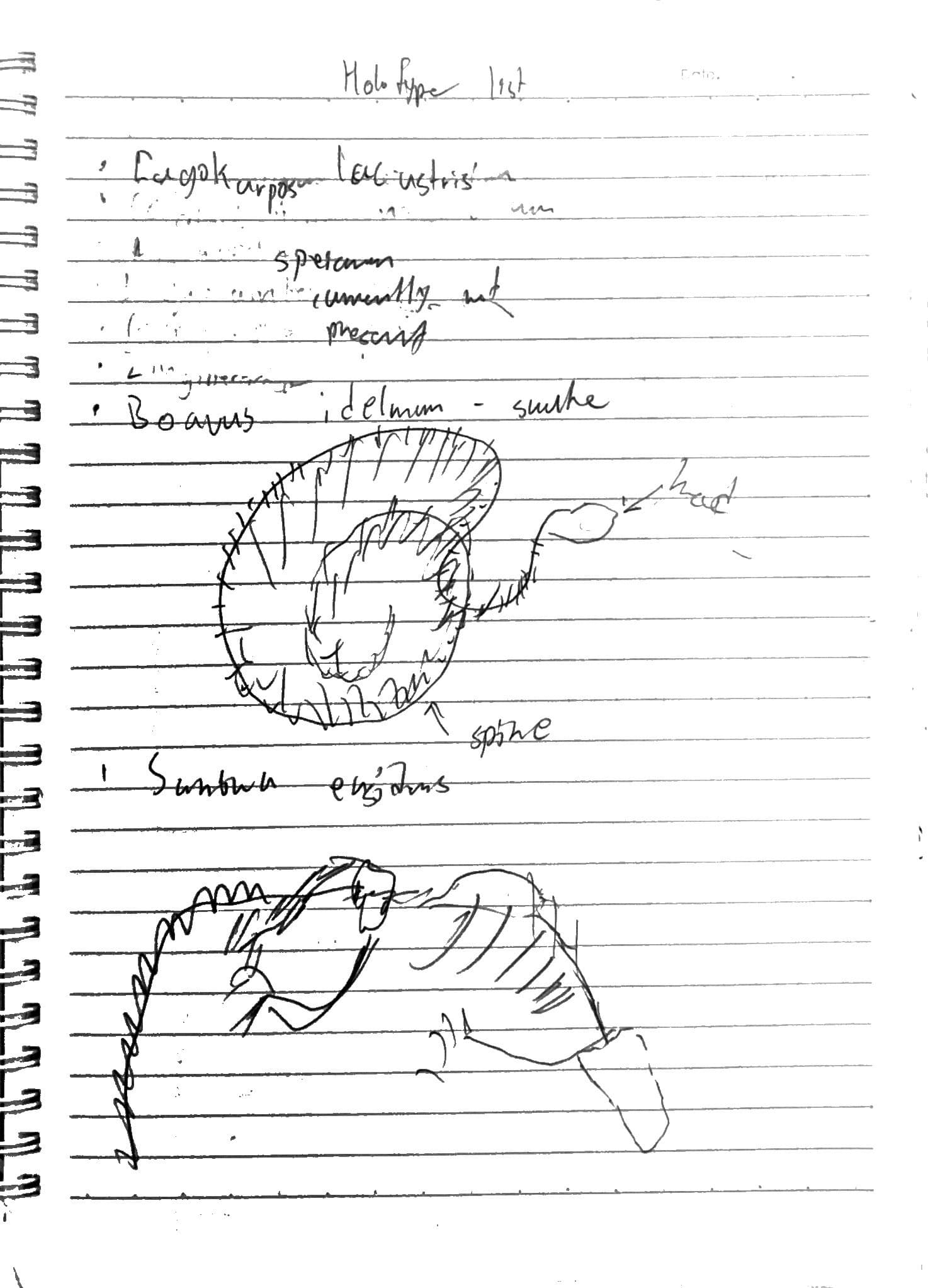 Day 2 field notes, page 3