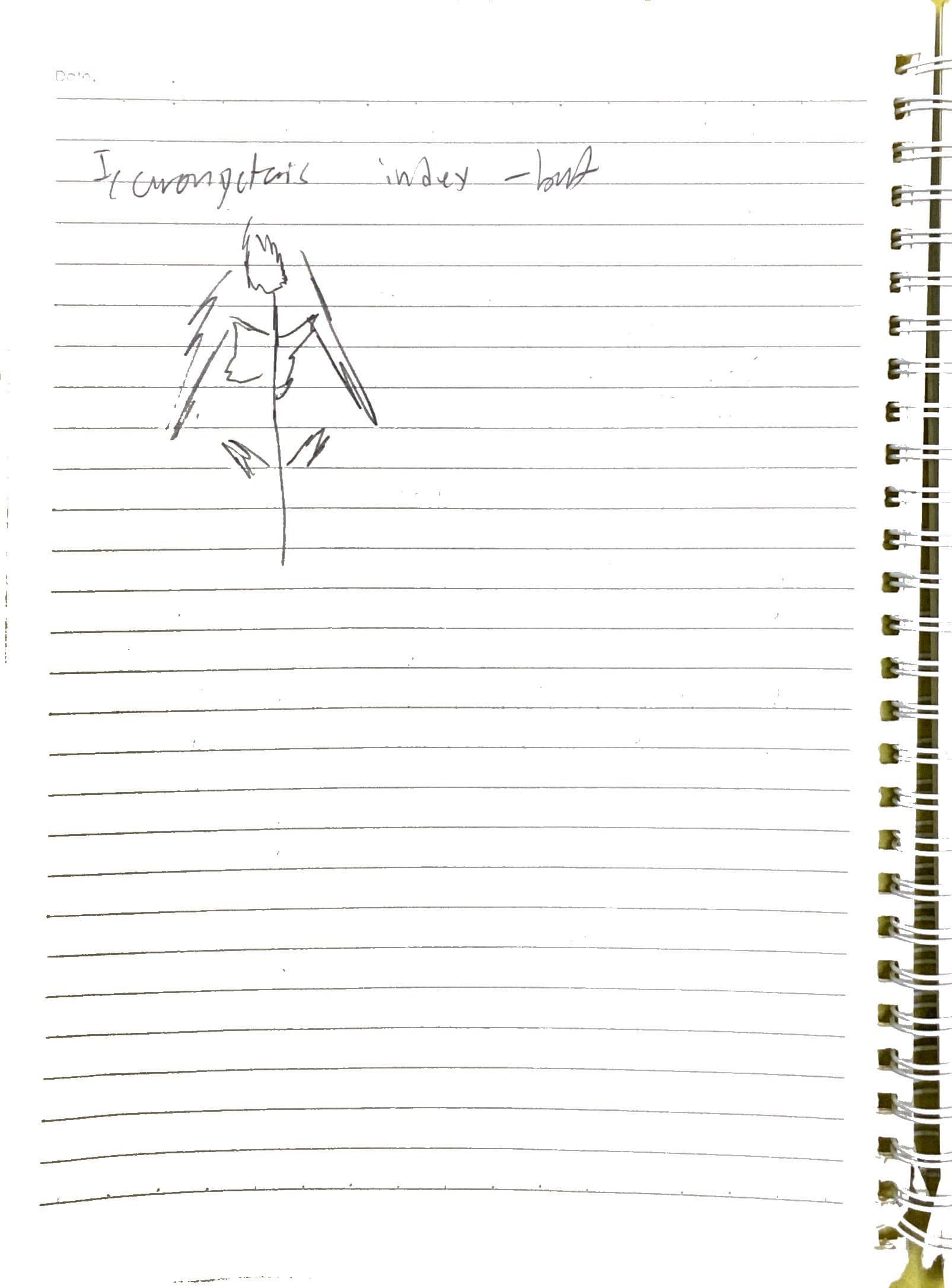 Day 2 field notes, page 4
