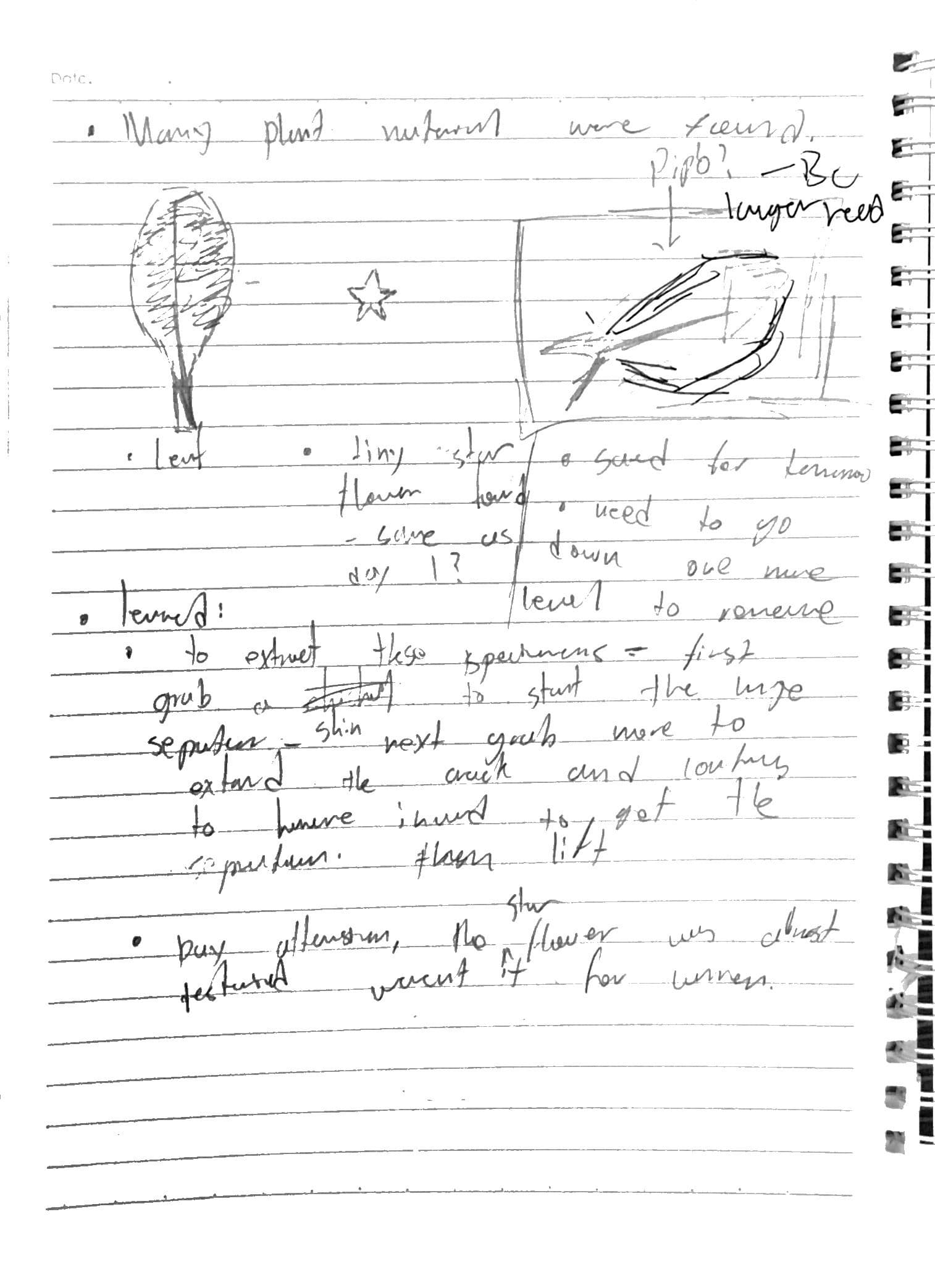 Day 2 field notes, page 6