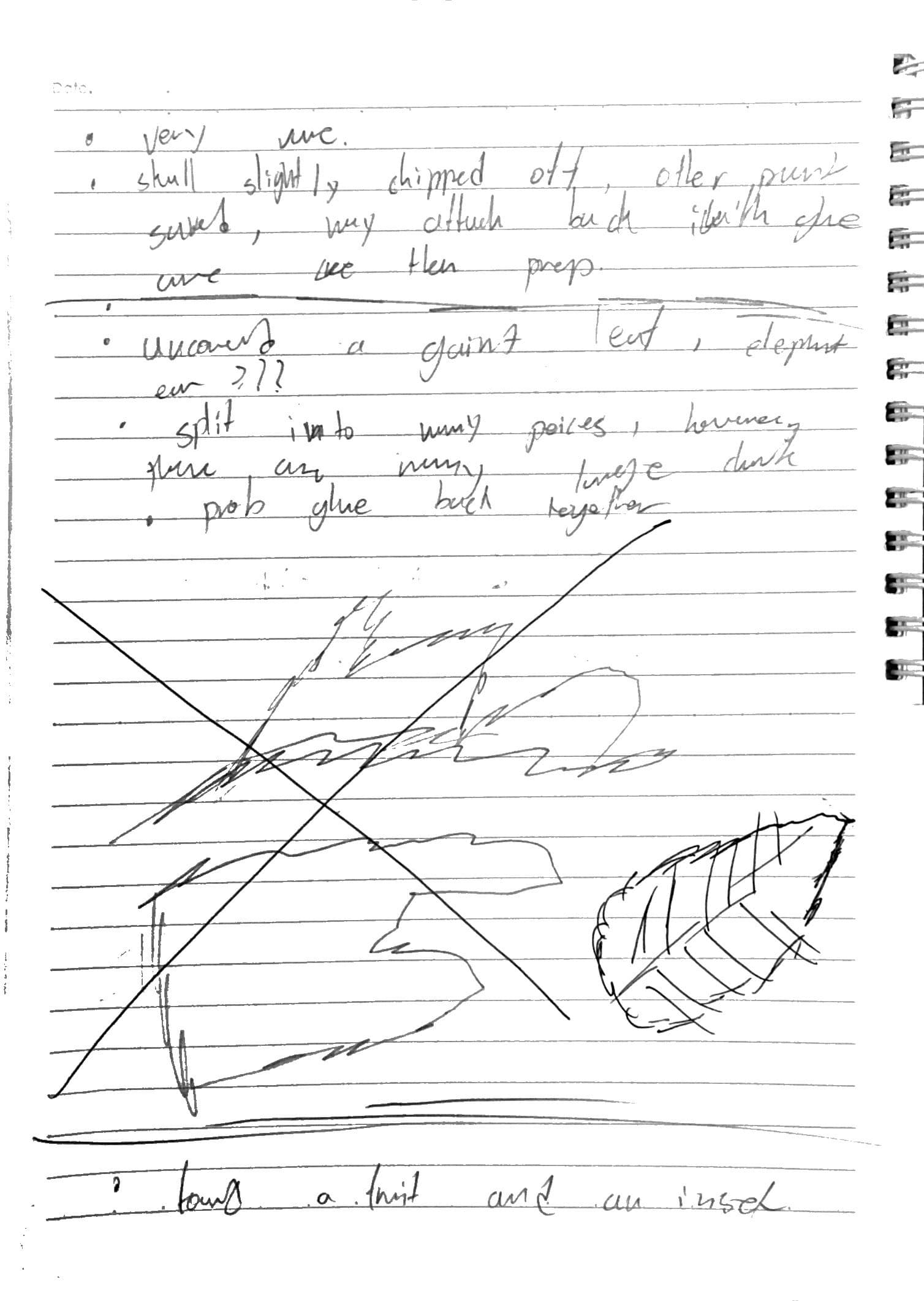 Day 3 field notes, page 2