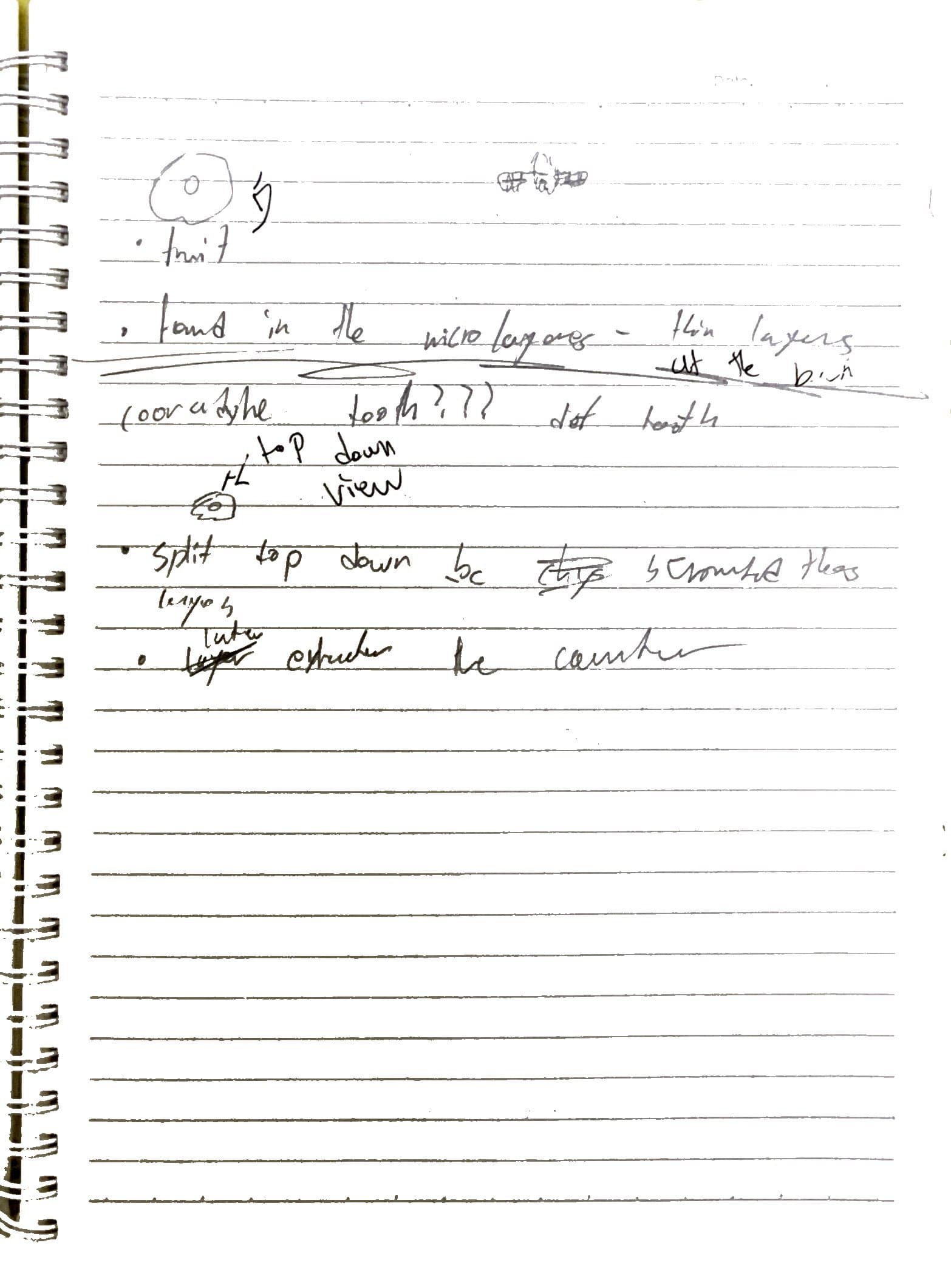 Day 3 field notes, page 3