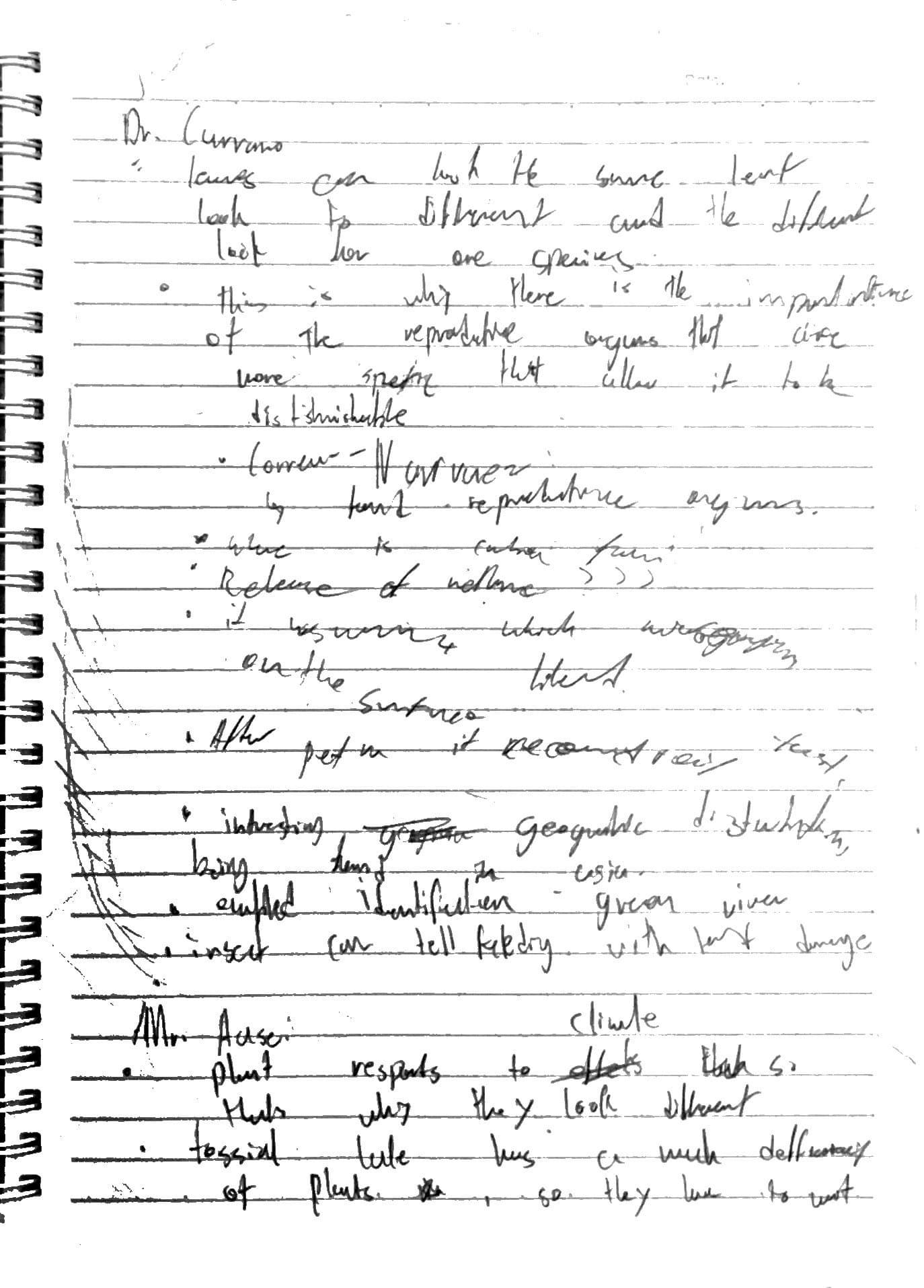 Day 4 field notes, page 2