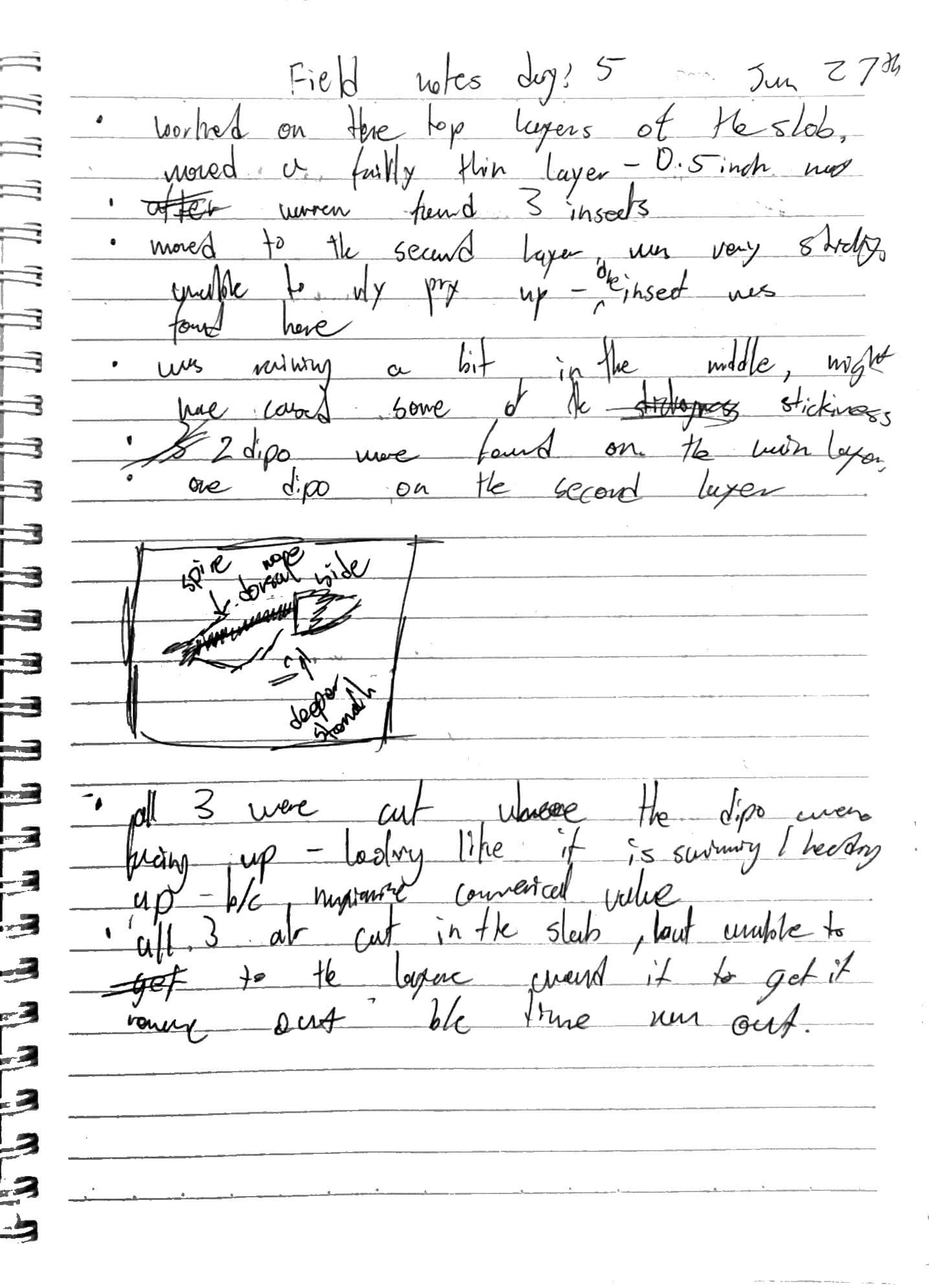 Day 5 field notes, page 1