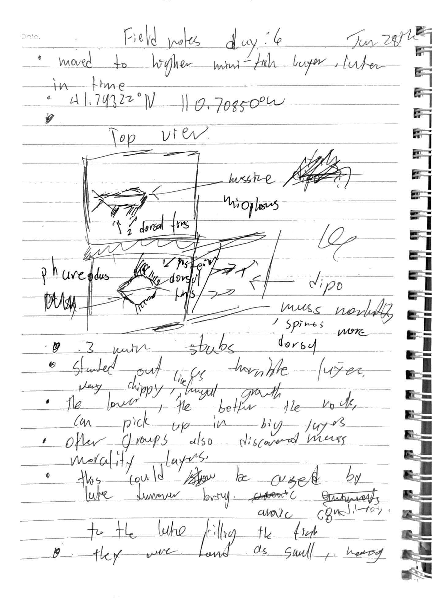Day 6 field notes, page 1
