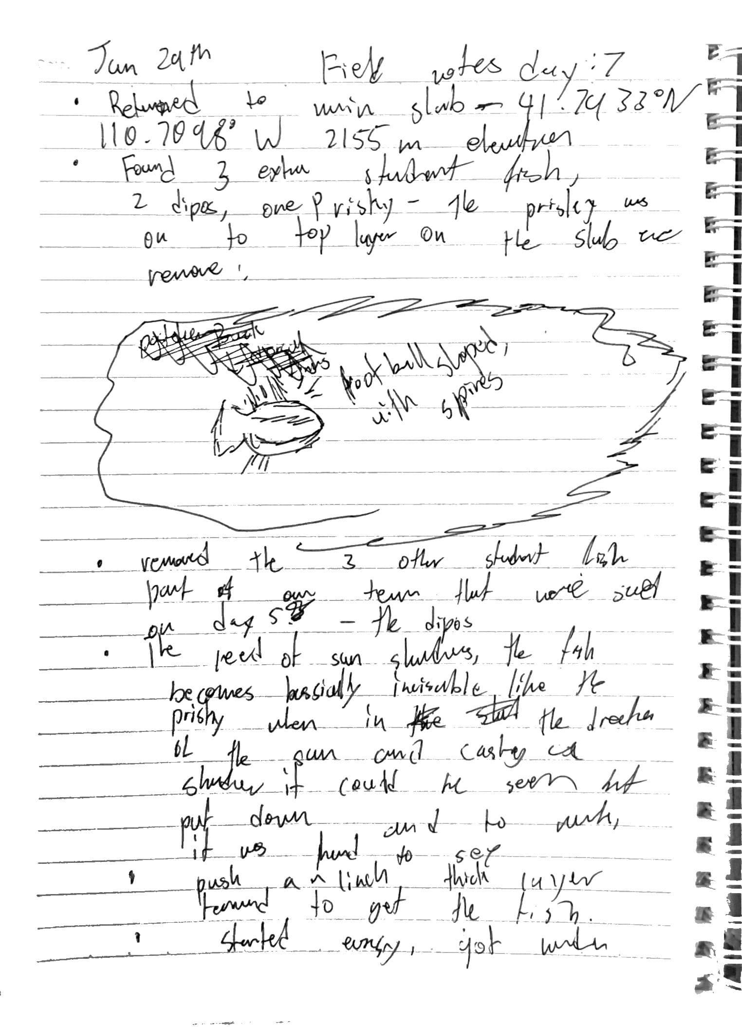 Day 7 field notes, page 1