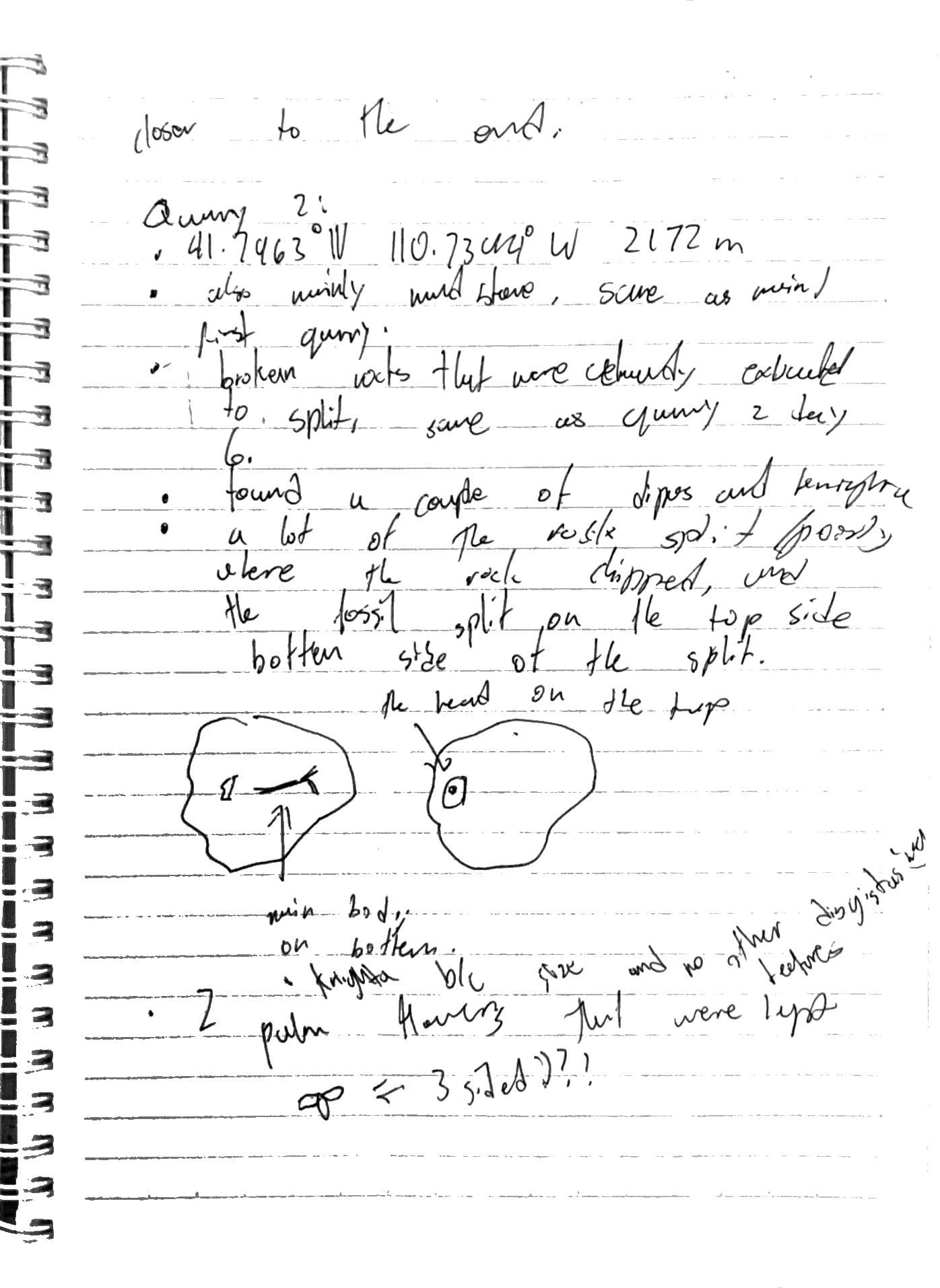 Day 7 field notes, page 2