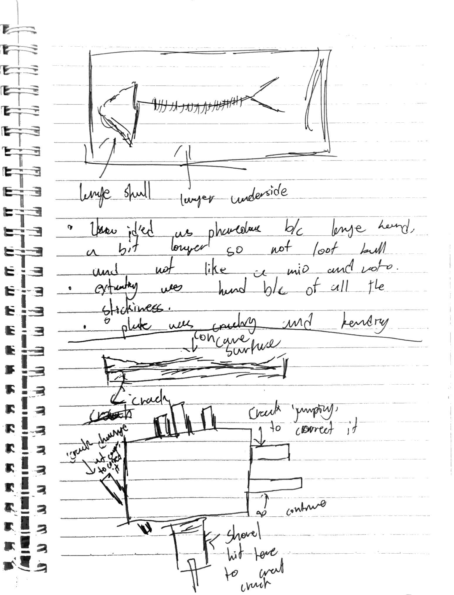 Day 8 field notes, page 2