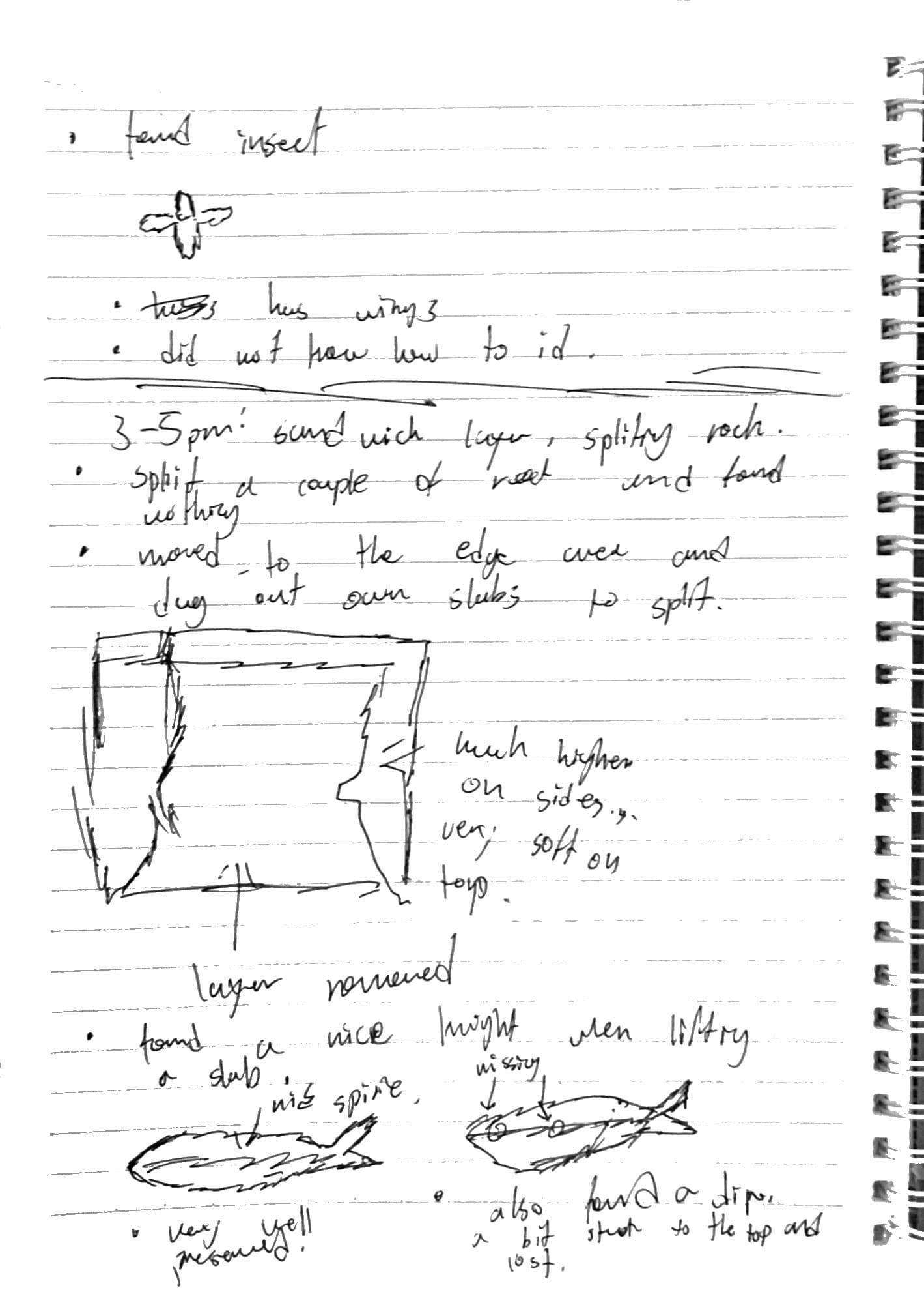 Day 8 field notes, page 3