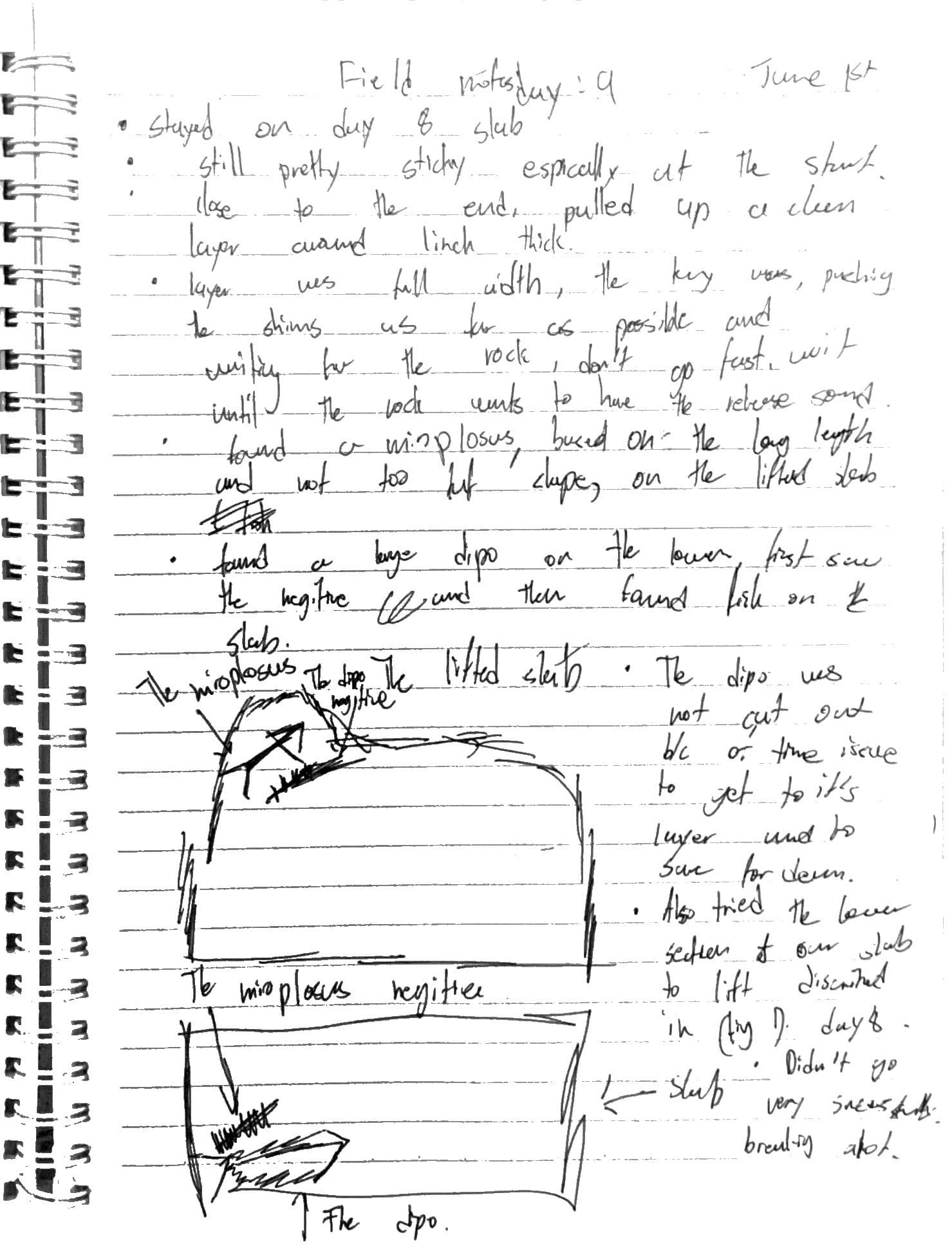 Day 9 field notes, page 1