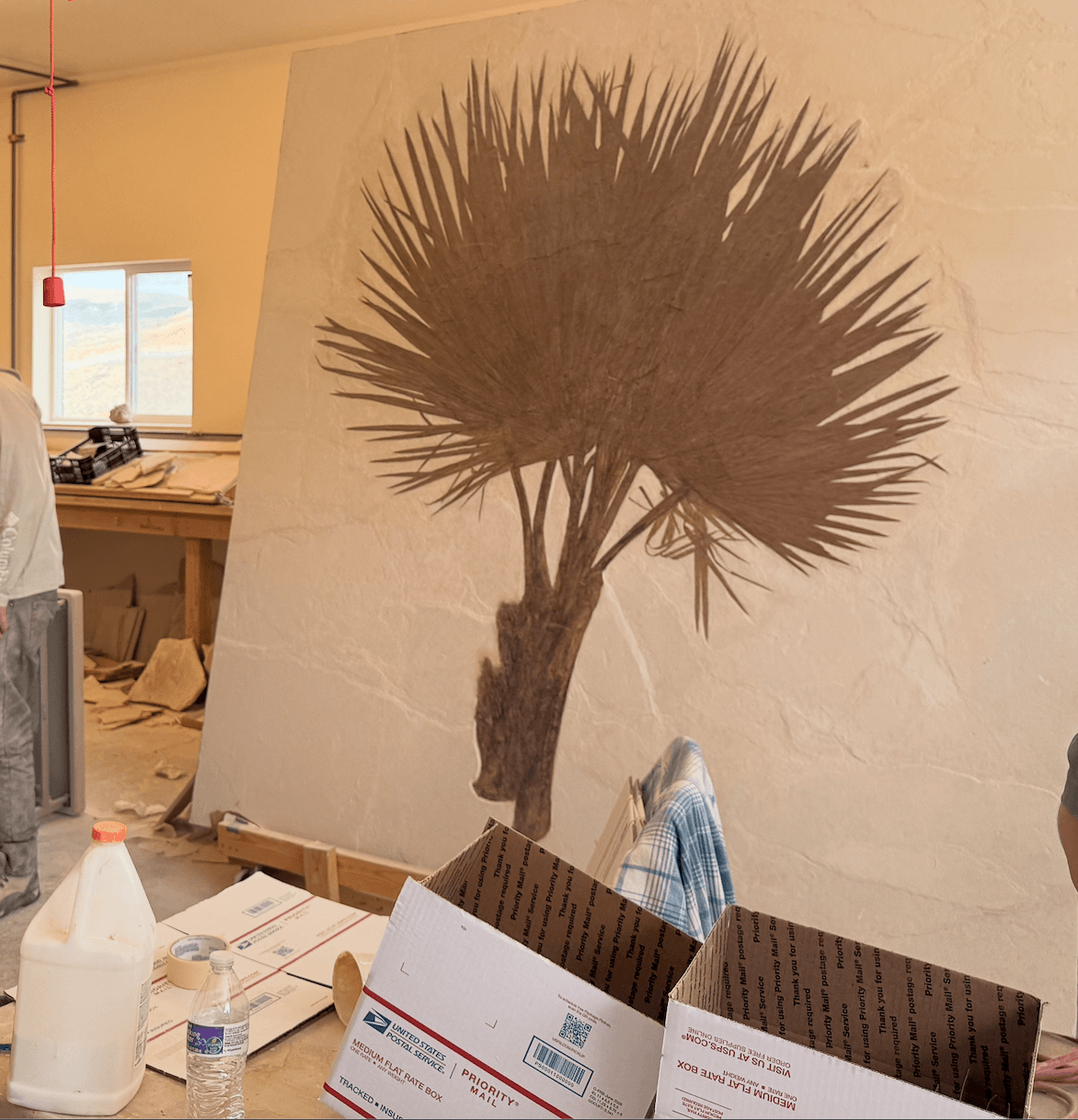 Large fossil palm frond on a rock slab inside.