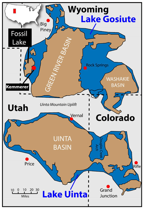 Map of Eocene lakes Fossil Lake, Lake Gosiute, and Lake Uinta across Wyoming, Utah, and Colorado, with Kemmerer marked near Fossil Lake