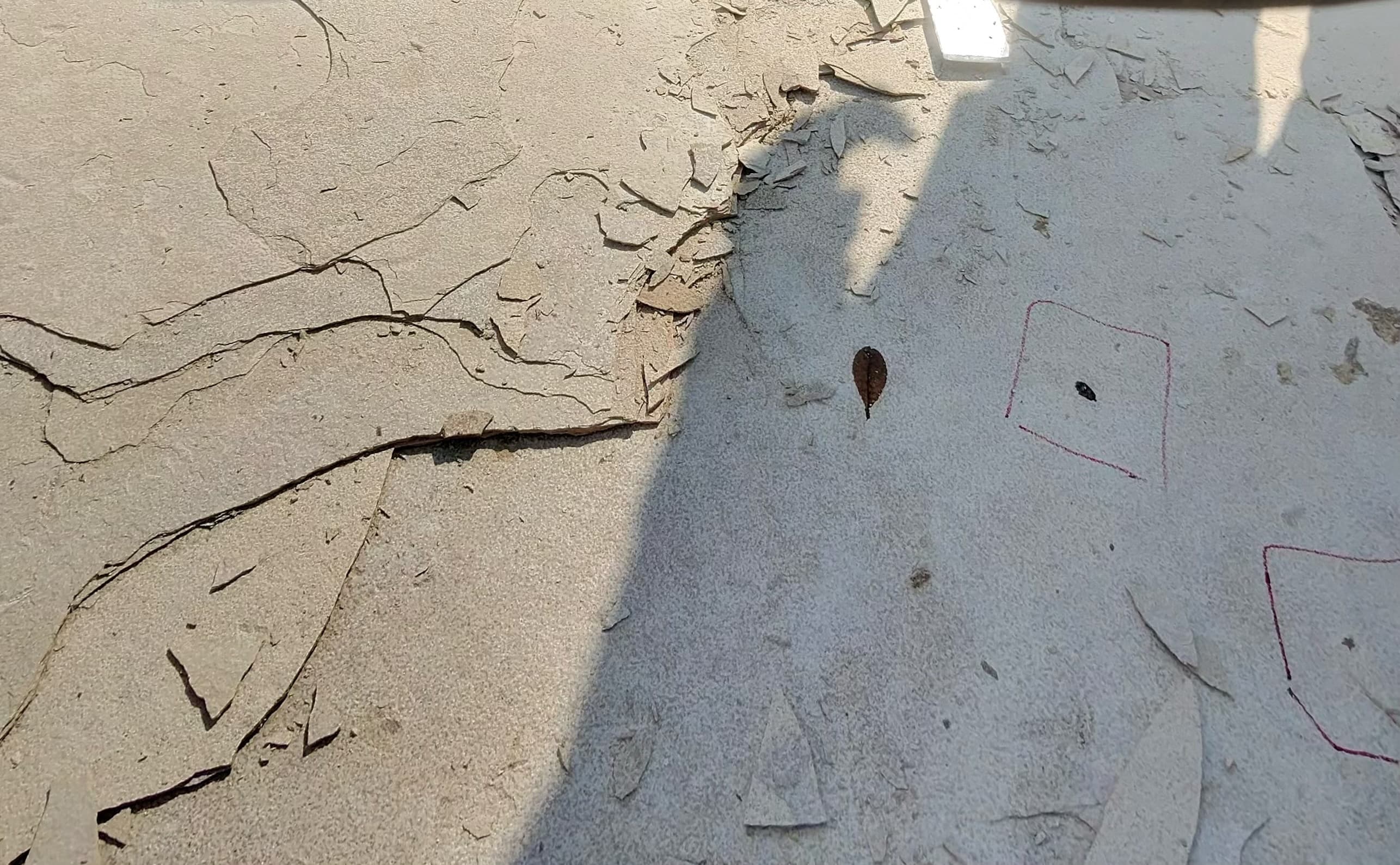 Sunlight highlights layered rock and a small fossil leaf.